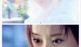 舒畅爆料了啥节目视频,揭秘幕后的精彩瞬间