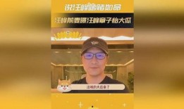 大瓜爆料汪峰视频播放全集,大瓜爆料视频全集深度解析